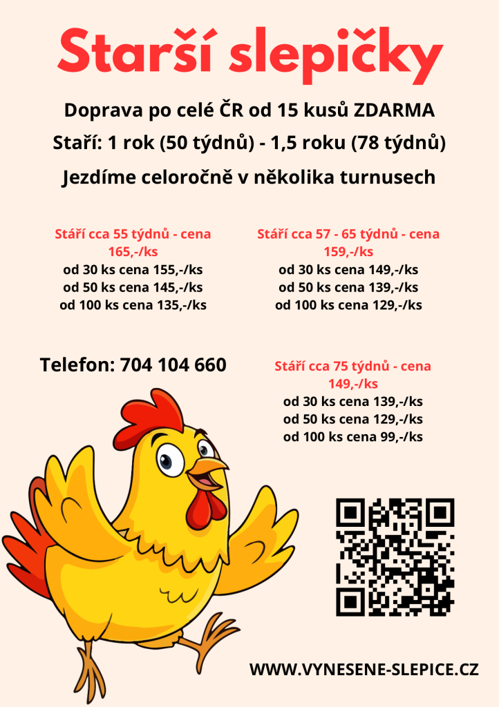 Prodej slepic